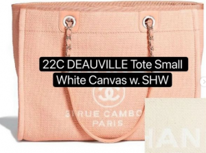 deauville tote bag 2022