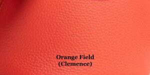 Orange Field 